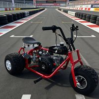 Venta al por Mayor en China, Triciclo Go-Kart Personalizado de 212cc, 4 Tiempos, Llantas de 5 Pulgadas, Go-Kart Todoterreno para Niños y Adultos, Kart para Exteriores