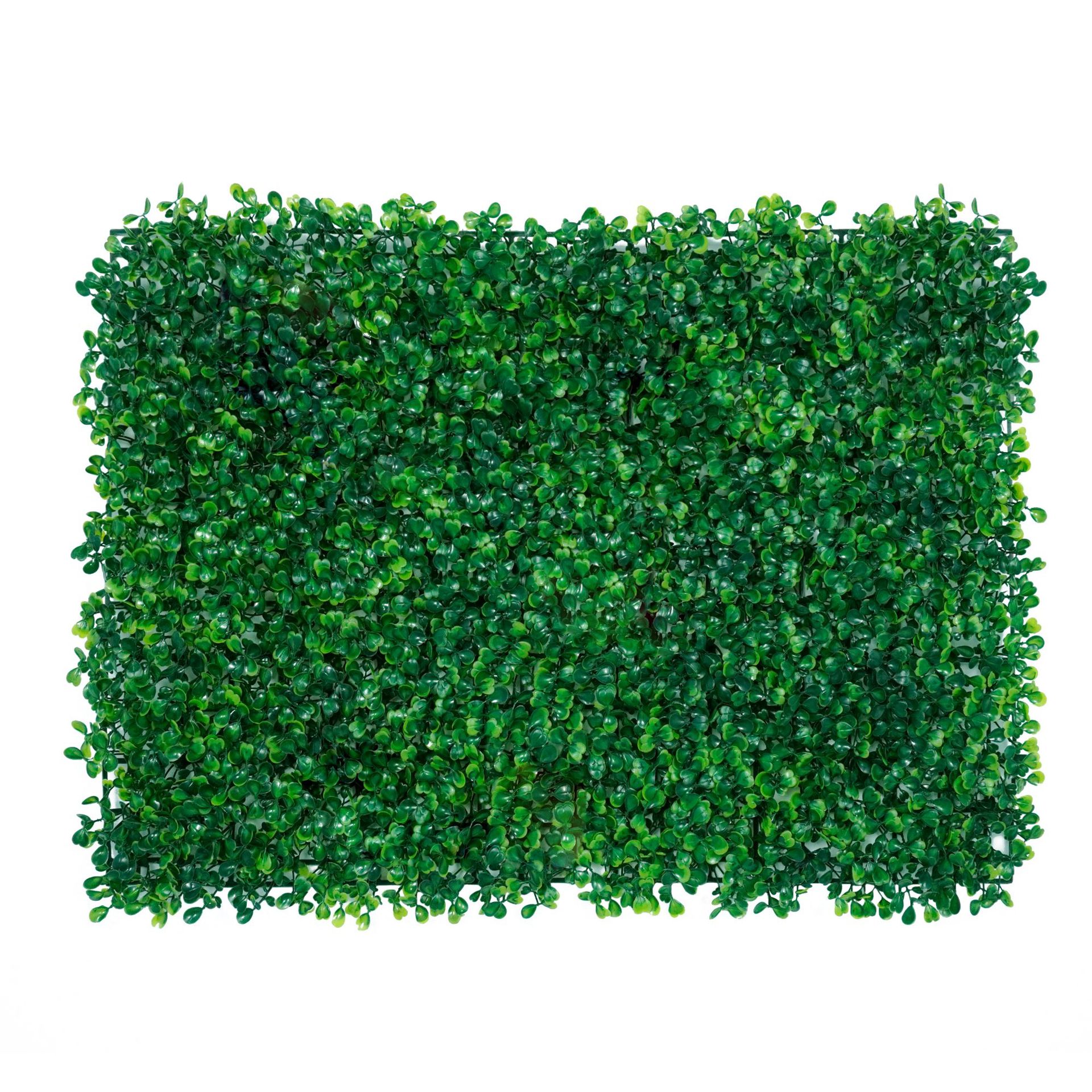 Milan (Standard Model) 247