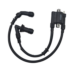 Bobine d'allumage Jilong 3391 pour moto Benelli Mini Dragon 2 cylindres, pièce de rechange - Product Image 1