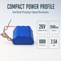 Paket Baterai OEM 26V NCM 2.5Ah dengan Kabel Terminal M10 untuk Penyimpanan Energi Surya, Cadangan Daya, dan Perangkat Elektronik