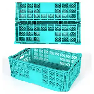 Cage de transport en plastique pliable pour poussin Oie Canard Cage de transport en plastique