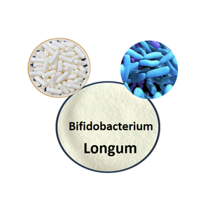 Probiotics đông khô Bifidobacterium <span class=keywords><strong>longum</strong></span> <span class=keywords><strong>b</strong></span>ột Bifidobacterium <span class=keywords><strong>longum</strong></span> - Product Image 3