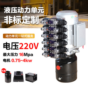 Suministro Directo de Fábrica: Unidad de Potencia Hidráulica de 220V Personalizada y No Estándar, Elevador de Construcción Resistente a Alta Presión - Product Image 5