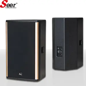 Système de haut-parleurs en bois professionnel Seer 10 pouces 2.0 canaux avec écran LCD, fonctionnement passif, conception en ligne pour usage commercial et domestique - Product Image 4