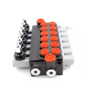 วาล์วควบคุมทิศทางไฮดรอลิก P40-G12-G38 |   โซลูชันวาล์วไฮดรอลิกแบบกำหนดเอง, บริการผลิตและดัดแปลงแบบ OEM - Product Image 1