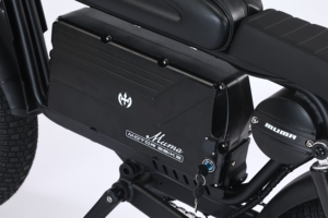 Bicicleta eléctrica de alta potencia de 1000W para adultos, bicicleta eléctrica de montaña de largo alcance con neumáticos gruesos, bicicleta todoterreno, motocicleta - Product Image 3