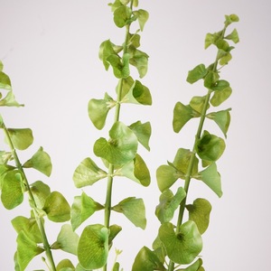 Pianta Artificiale Verde Real Touch da 92 cm, Campanelle d'Irlanda, per Composizioni Floreali - Decorazioni per la Festa della Mamma e la <span class=keywords><strong>Laurea</strong></span> - Product Image 2