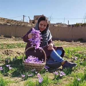 HL 100% Puros Óleos Essenciais Orgânicos Fábrica A Granel, 1kg Terapia Açafrão Absoluto Óleo Infundido Óleo Fragrância para Perfume Fazendo - Product Image 3