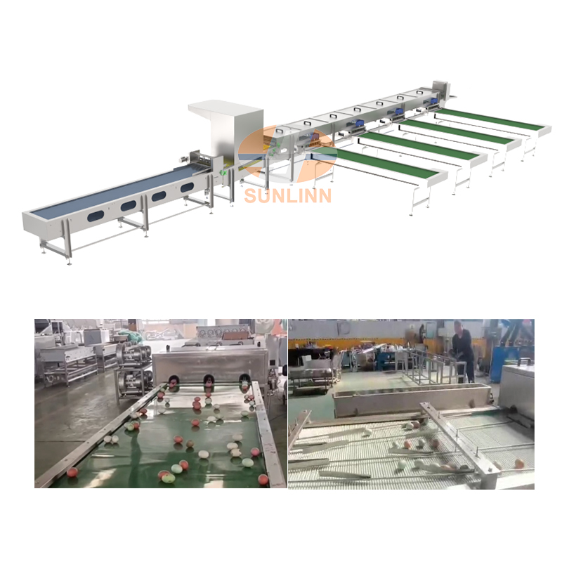 egg grader machine automatic