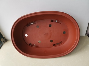 Chine <span class=keywords><strong>pas</strong></span> <span class=keywords><strong>cher</strong></span> grande taille forme ovale bonsaï pots pots d'arbre pots de fleurs - Product Image 4