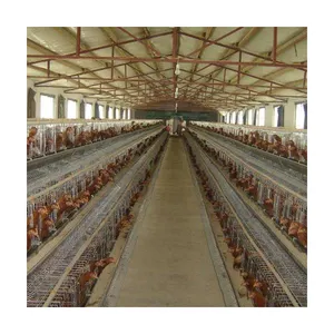 Aves de corral/un tipo capa de pollo jaula/jaula sistema automático para venta