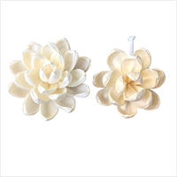 4.5cm 5cm 6cm 8cm nouveau Design arôme roseau diffuseur fleurs à la main Sola bois fleur
