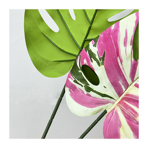 WH Décoration murale arrière tortue colorée unique Offre Spéciale arbustes en plastique personnalisés pour la décoration intérieure - Product Image 1