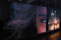 Haute qualité en gros P3.91 Flexible Transparent Led écran Film affichage écran publicitaire pour vitrines