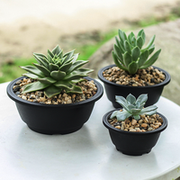 Macetas Redondas de Plástico para Suculentas, Cortas y Planas, para Suculentas en Forma de Tronco, con Aspecto de Resina, en Negro, Terracota y Transparente, Venta al Por Mayor