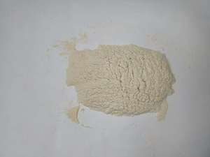 Số lượng lớn thức ăn lớp isoleucine độ tinh khiết 98.5% nuôi trồng thủy sản Cá Tôm sử <span class=keywords><strong>d</strong></span>ụng nhà máy trực tiếp đặc biệt đối phó - Product Image 3