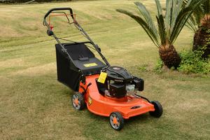 <span class=keywords><strong>Tondeuse</strong></span> à gazon de jardin 22 pouces et <span class=keywords><strong>tondeuse</strong></span> à gazon autotractée CJ22GZZL196-AL avec plateau en aluminium - Product Image 2