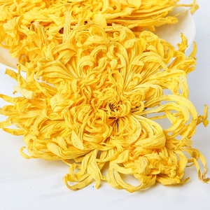 Té de Flor de Crisantemo Amarillo Dorado de Seda Premium de China, para Beber Directo - Product Image 2