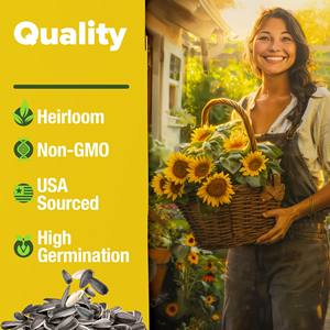 Accueil Cultivé 8 Variétés Sun Flower Packets à planter - Product Image 2