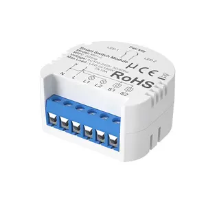 Smart Home Producten Tuya Smart Life App Control 10a 2 Bende Mini Smart Wifi Switch Module Voor Lichte Ondersteuning Spraakbesturing