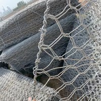Caisse gabion galvanisée résistante à la rouille - Treillis métallique tissé renforcé conforme à la norme ISO pour murs de soutènement et contrôle des rivières