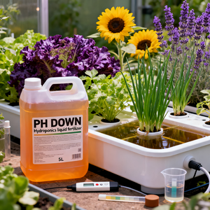 <span class=keywords><strong>Engrais</strong></span> liquide <span class=keywords><strong>hydroponique</strong></span> organique PH Down pour NFT/<span class=keywords><strong>culture</strong></span> en eau profonde/goutte à goutte, 81% d'acide phosphorique, régulateur de pH, croissance des plantes - Product Image 3