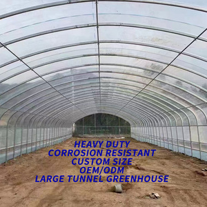 هيكل بيت زجاجي تجاري متين بمقاسات مخصصة، نفق للفراولة، بيوت زجاجية بلاستيكية مع معدات كاملة - Product Image 3