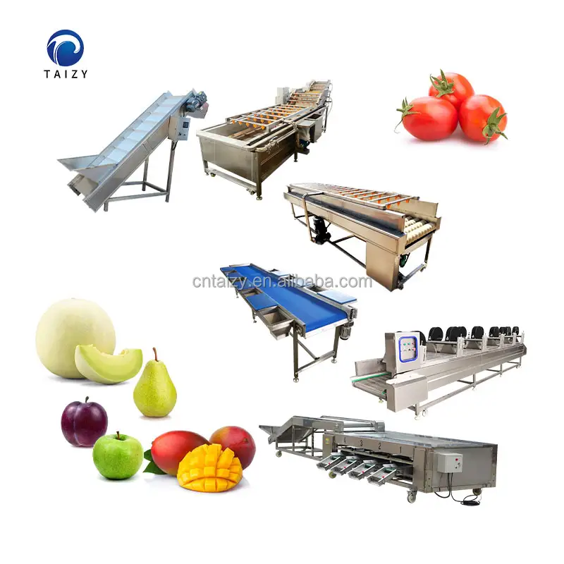 Soğan sınıflandırma makinesi meyve temizleme ve sebze yıkama makinesi