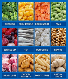 مجمد نفقي صناعي أوتوماتيكي بتقنية IQF مع محرك ومحامل لخط إنتاج عالي الإنتاجية لمعالجة الجمبري والأسماك والمأكولات البحرية - Product Image 2