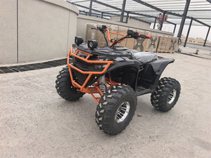 Factory Price Battery Powered Chain Drive <strong>1000W</strong> Brushed Motor Mini <strong>Electric</strong> <strong>Quad</strong> <strong>Bike</strong> Atv for Kids - Product Image 2