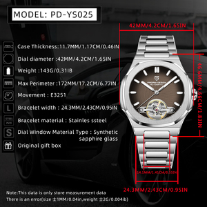 2025 PAGANI DESIGN YS025 New Skeleton Tourbillon <strong>Men's</strong> Mechanical <strong>Watches</strong> Top Luxury Automatic <strong>Watch</strong> for <strong>Sporty</strong> Wristwatch - Product Image 6