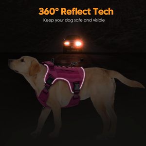 Harnais tactique robuste moderne pour chiens de grande taille, sans traction, réglable, réfléchissant, système Molle, nylon de qualité militaire K9 - Product Image 5