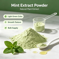 Extrait de menthe soluble dans l'eau à haute solubilité, extrait de menthe à mailles fines pour boissons, bonbons, chewing-gums, matière première de transformation