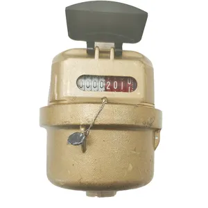 Compteur d'eau en laiton dn20 compteur d'eau à volume froid à piston rotatif mécanique