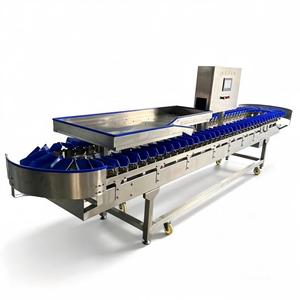 Máquina Automática de Clasificación y Calibración de Patas, Alas y Pollos Enteros para Granjas, para el Procesamiento de Frutas, Verduras y Nueces - Product Image 5