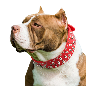 Vente en gros de collier de chien à pointes cloutées en cuir PU de luxe élégant pour <span class=keywords><strong>Pit</strong></span> <span class=keywords><strong>Bull</strong></span> - Product Image 4