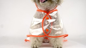 معطف واق من المطر أنيق للحيوانات الأليفة للكلاب جاكيت مقاوم للماء وجيد التهوية معطف واق من المطر قابل للتعديل مع غطاء رأس للمشي والكلاب في الهواء الطلق - Product Image 5