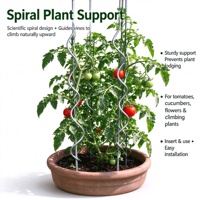 Piquets en spirale en métal galvanisé pour tomates, treillis de support pour plantes grimpantes, légumes, fleurs et vigne