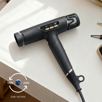 Sèche-cheveux professionnel infrarouge léger, pliable, portable, pour femmes, haute vitesse, fonction ionique, double tension