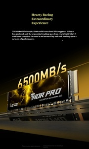100% ブランドLexar THOR PRO 500G 1テラバイト2テラバイト4テラバイトM.2 NVMe PCIe 4.0x4 SSD最大7000メガバイト/秒 - Product Image 5