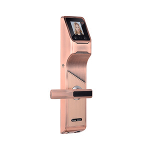 Huarui HR605 intelligent étanche serrure de <span class=keywords><strong>porte</strong></span>, serrure de <span class=keywords><strong>porte</strong></span> extérieure, serrure de <span class=keywords><strong>porte</strong></span> intelligente pour <span class=keywords><strong>porte</strong></span> <span class=keywords><strong>coulissante</strong></span> en verre - Product Image 2
