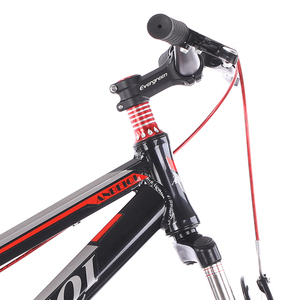 Bicicleta de Montaña de 20 Pulgadas con Cuadro de Acero, Una Velocidad, Frenos de Disco, <span class=keywords><strong>para</strong></span> Niños y Niñas, Ciclismo Deportivo al Aire Libre - Product Image 4