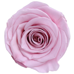 Caja de <span class=keywords><strong>Regalo</strong></span> de Flores de Vida Eterna de Grado A, <span class=keywords><strong>Rosa</strong></span> Inmortal, <span class=keywords><strong>Rosa</strong></span> Seca, Flores Artificiales Preservadas, Cabezas de Rosas - Product Image 6