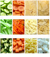 Machine à découper les légumes multifonctionnelle, trancheuse commerciale de pommes de terre et de carottes, coupe-juliennes, machine à couper en cubes, moteur en acier inoxydable