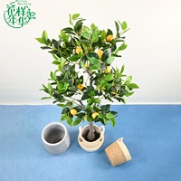 Arbre artificiel citron/orange de 150 cm, haute simulation, en plastique léger et durable, ornement d'intérieur pour la mise en scène des cafés et restaurants
