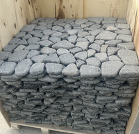 Dalle aléatoire en granit noir pierre de basalte noir pavé de motif fou pour allée à l'extérieur du jardin