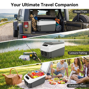 Réfrigérateur de <span class=keywords><strong>voiture</strong></span> 12L 24L 30L, réfrigérateur portable <span class=keywords><strong>pour</strong></span> les vacances, réfrigérateur extérieur <span class=keywords><strong>12</strong></span> <span class=keywords><strong>volts</strong></span>, thermoélectrique <span class=keywords><strong>pour</strong></span> <span class=keywords><strong>voiture</strong></span> - Product Image 2