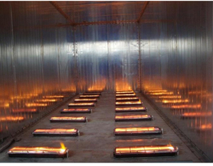 अवरक्त उत्प्रेरक गैस बर्नर निकाल दिया - Product Image 4