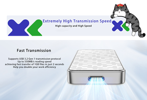 Di Động 512GB 1Tb Ổ Đĩa Trạng Thái Rắn (SSD) type-C USB <span class=keywords><strong>3.0</strong></span> Gen 2 Bên Ngoài Đĩa Cứng Cho Máy Tính Xách Tay Mới Với 1000 Tốc Độ MB/giây - Product Image 6