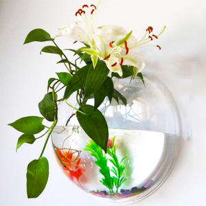 Réservoir à poissons rond en acrylique transparent pour <span class=keywords><strong>aquarium</strong></span>, pot de fleur, bol à poisson mural en plastique, réservoir d'<span class=keywords><strong>aquarium</strong></span>, rond, suspendu, créatif - Product Image 5